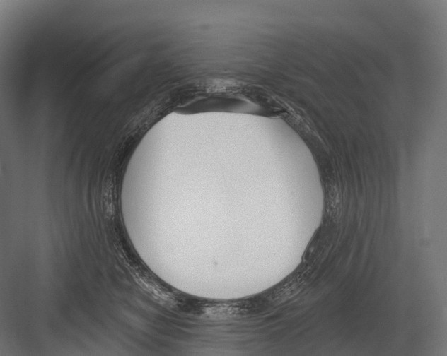 X0000081580470200702121452