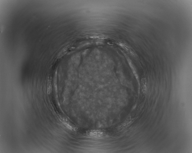 X0000081580471200702121452