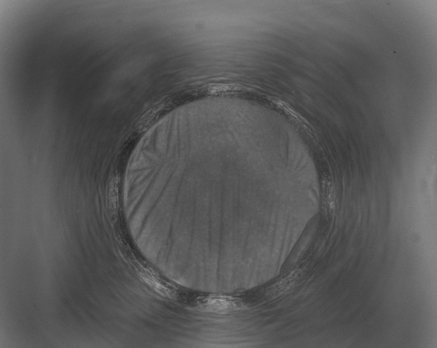 X0000081580475200702121452