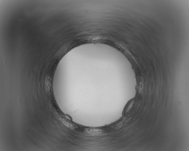 X0000081580476200702121452