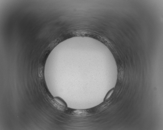 X0000081580477200702121452