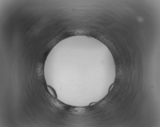 X0000081580478200702121452