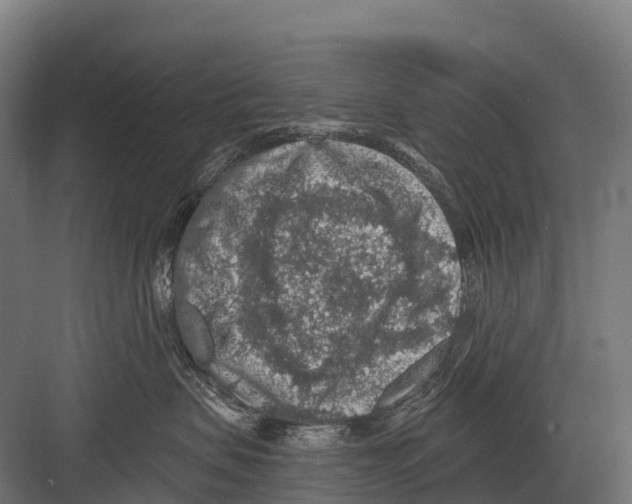 X0000081580479200702121452