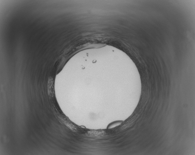 X0000081580480200702121452