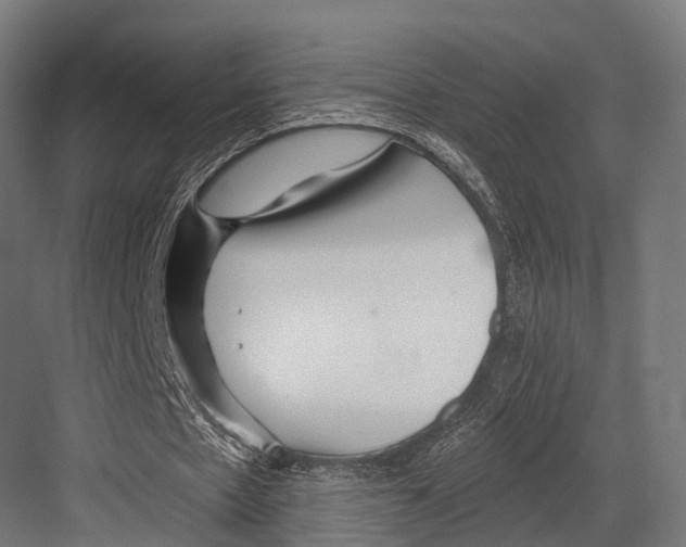 X0000081580481200702121451