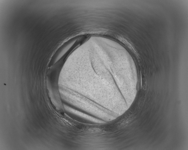 X0000081580483200702121451