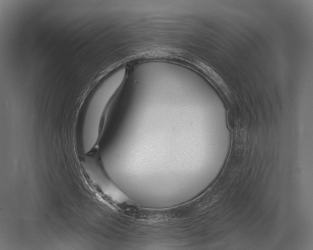 X0000081580485200702121451