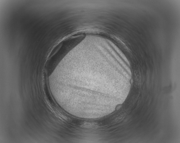 X0000081580487200702121451