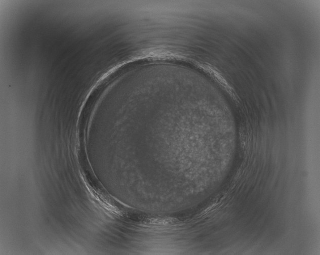 X0000081580488200702121451