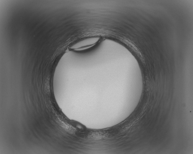 X0000081580489200702121451