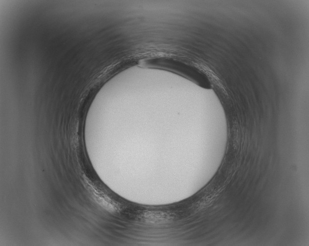 X0000081580490200702121451