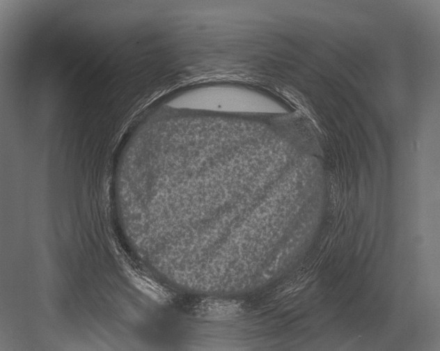 X0000081580491200702121451