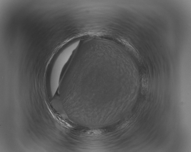 X0000081580492200702121451