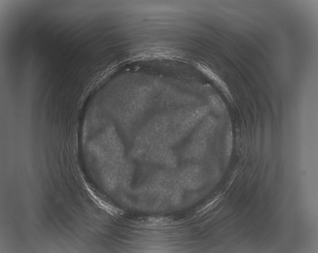 X0000081580493200702121451