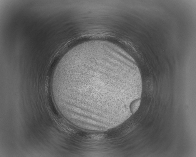 X0000081580495200702121451