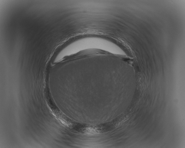 X0000081580496200702121451