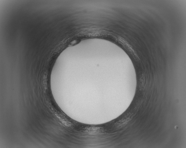 X0000081580497200702121451