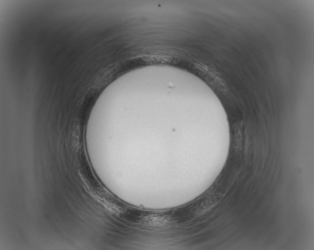 X0000081580498200702121451