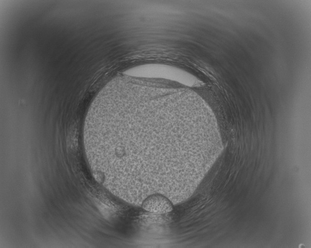 X0000081580499200702121451