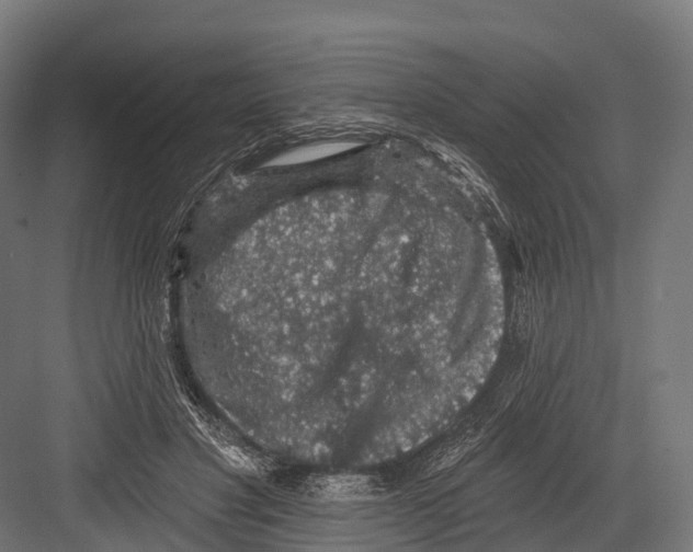 X0000081580501200702121451