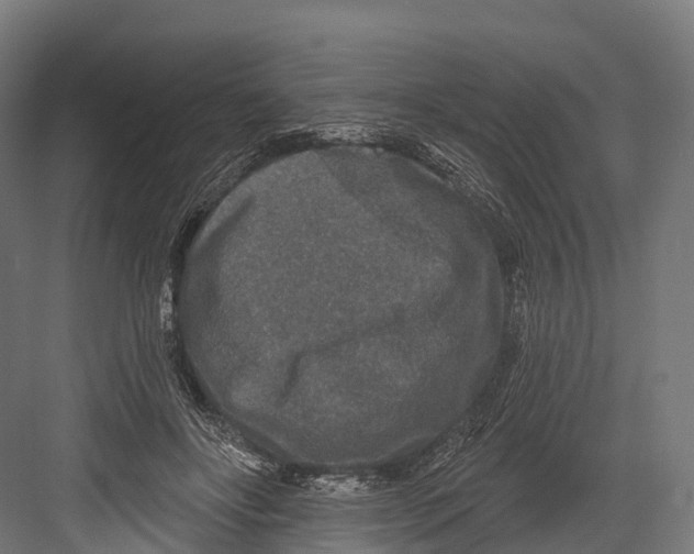 X0000081580502200702121451