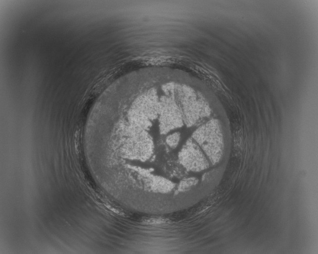 X0000081580503200702121451