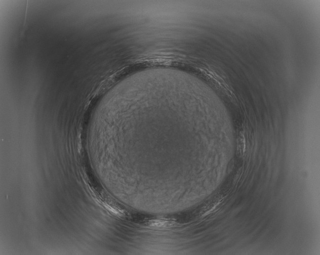 X0000081580504200702121451