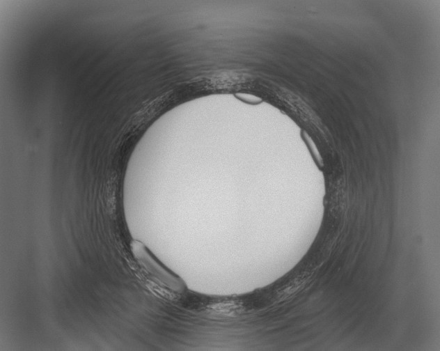 X0000081580505200702121451