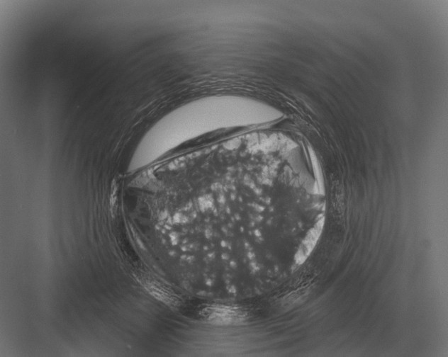 X0000081580507200702121451