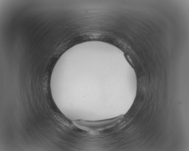 X0000081580509200702121451