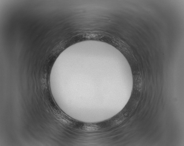 X0000081580510200702121451