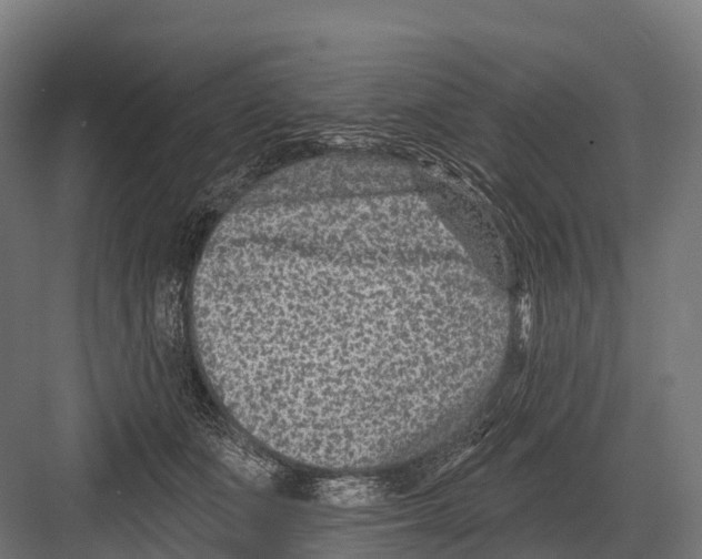 X0000081580511200702121451