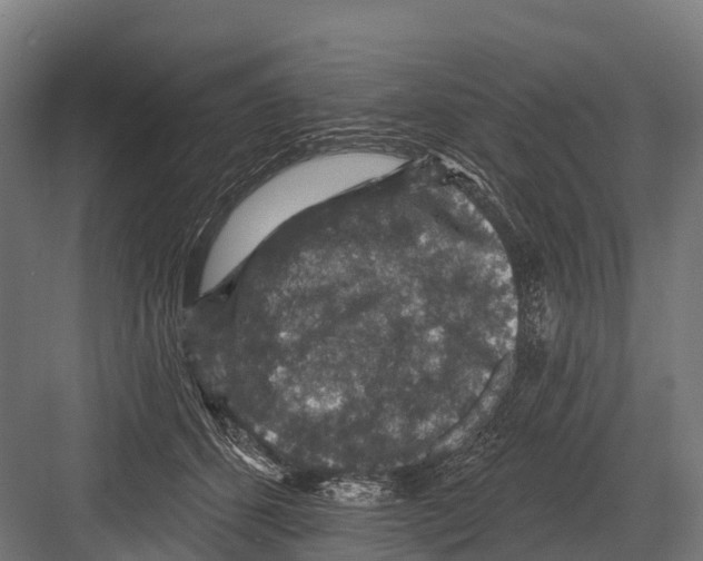 X0000081580512200702121451