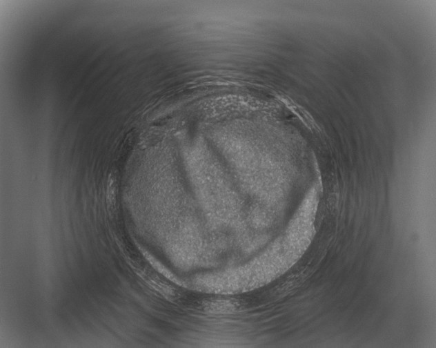 X0000081580513200702121451