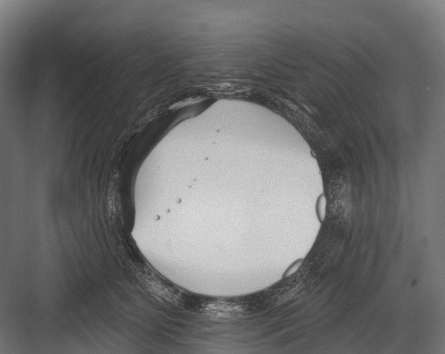 X0000081580515200702121451