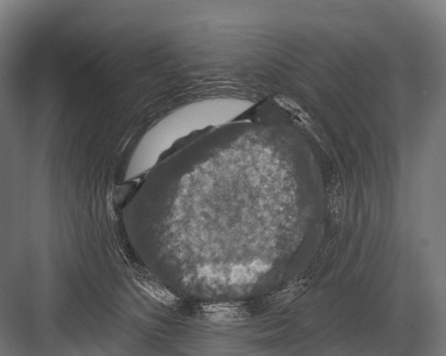 X0000081580516200702121451