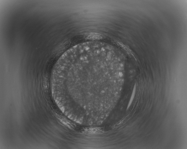 X0000081580517200702121451