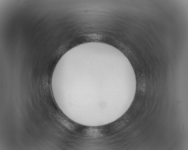 X0000081580518200702121451