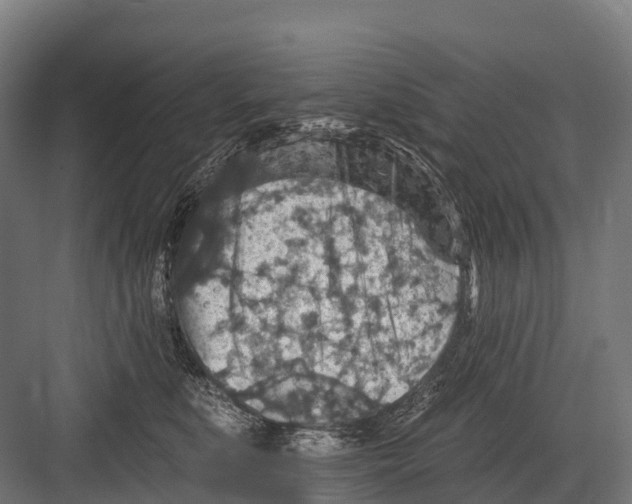 X0000081580519200702121451