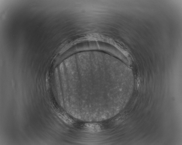 X0000081580520200702121451