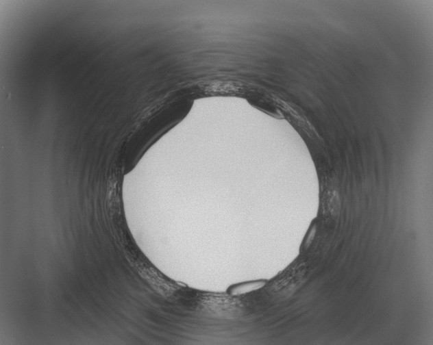 X0000081580521200702121451