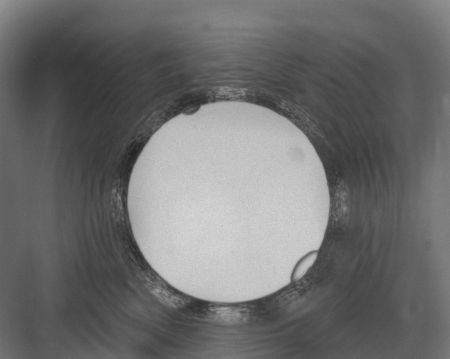 X0000081580522200702121451