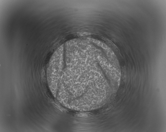 X0000081580523200702121451