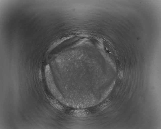 X0000081580524200702121451