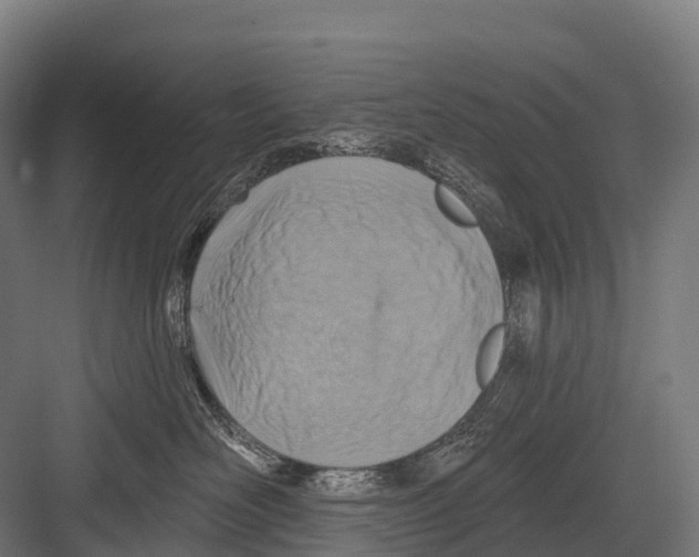 X0000081580526200702121451