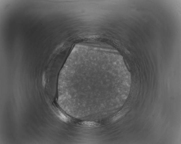 X0000081580528200702121451