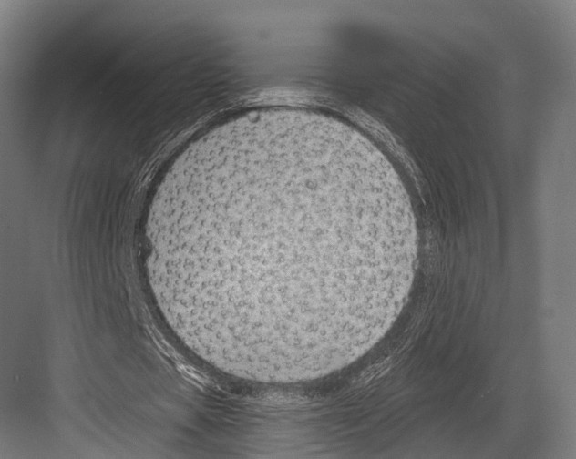 X0000081580529200702121450