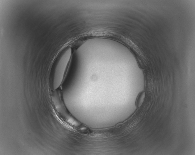 X0000081580530200702121450