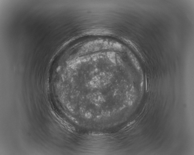 X0000081580531200702121450