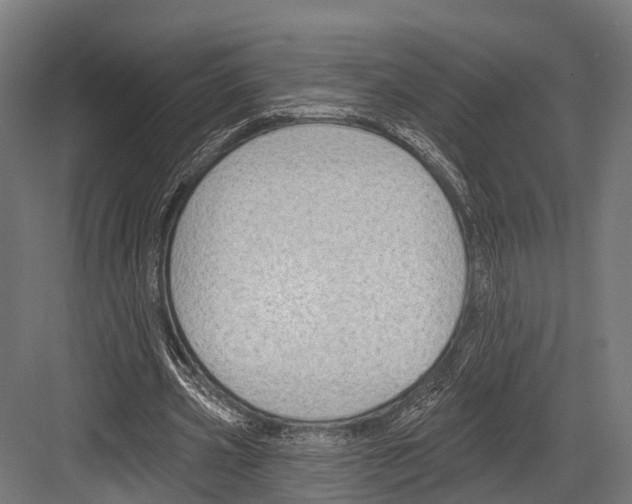 X0000081580533200702121450